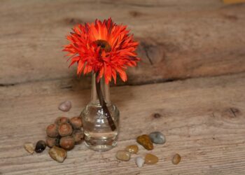 flower 693399 960 720.jpg