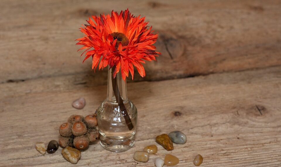 flower 693399 960 720.jpg