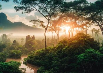 jungle 7459821 960 720.jpg