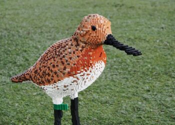 lego 1676791 960 720.jpg