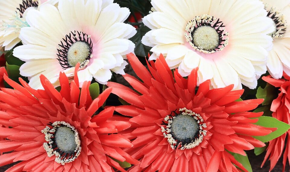 montenegro 2429154 960 720.jpg