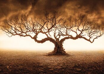 tree 7611688 960 720.jpg