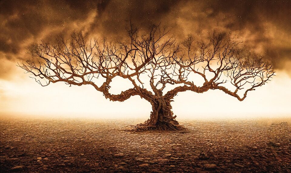 tree 7611688 960 720.jpg
