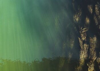 Pornstars Per Million inhabitants 

 Czechia: 86.19
 Hungary: 85.05
 USA: 27.25