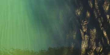 Pornstars Per Million inhabitants 

 Czechia: 86.19
 Hungary: 85.05
 USA: 27.25