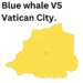 Blue Whale vs Vatican City