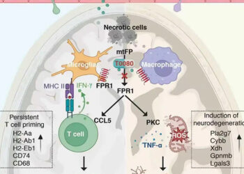 Chinese Researchers Achieve Breakthrough in Neurodegenerative Disease Treatment