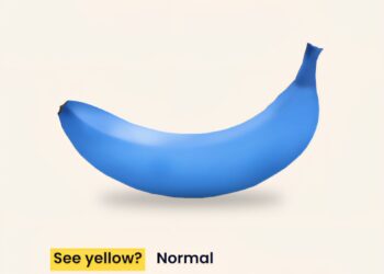 Fun Eye Test 

My brain said yellow, eyes said blue. What about you?