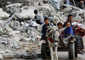 Gaza Partition Threat Grows Amid Trump Plan's Collapse