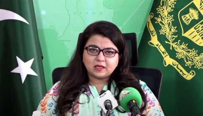 Federal Minister for Information Technology and Telecommunication addresses a press conference. — APP