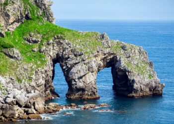 How To Save a Webpage as a PDF on Desktop and Mobile