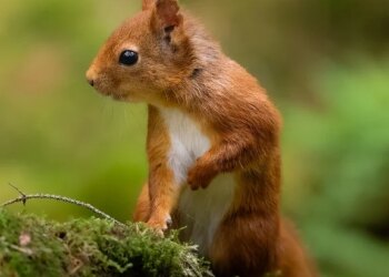 How To Schedule an Email in Outlook for Mac, Windows, and Web