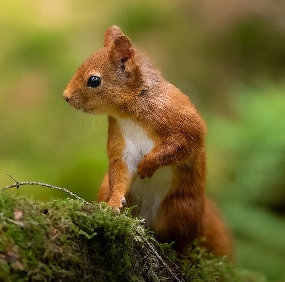 How To Schedule an Email in Outlook for Mac, Windows, and Web