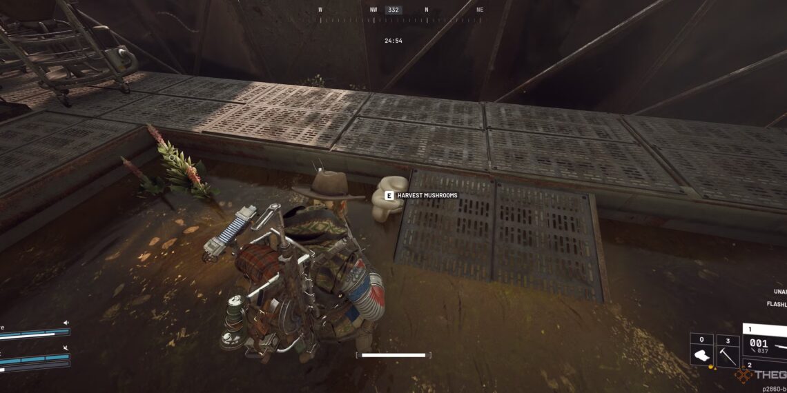 How to Find Mushrooms in Arc Raiders by Completing and Solving