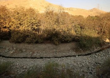 Iran Launches Cloud Seeding Amidst Severe Drought