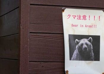 Japan confronts surge in bear encounters