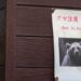 Japan confronts surge in bear encounters