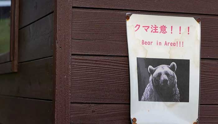 Japan confronts surge in bear encounters
