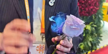 Latin American Scents and Blooms Attract Chinese Buyers at CIIE