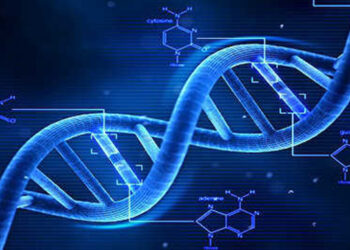 Shanghai Medical Team Discovers Potential Thalassemia Cure with Gene Therapy