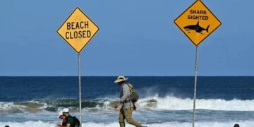 Shark Attacks Swimmers at Australian Beach at Dawn, One Fatally Injured