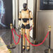 Star Dynamics China Debuts Its First Humanoid Robot