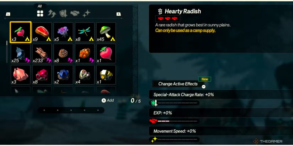 Top Camp Supplies for Completing and Solving in Hyrule Warriors: Age of Imprisonment