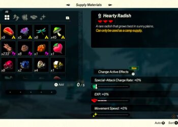 Top Camp Supplies for Completing and Solving in Hyrule Warriors: Age of Imprisonment