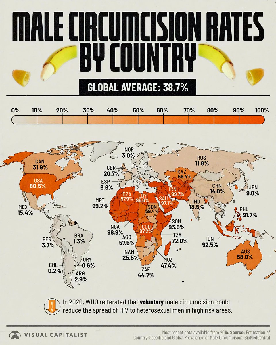 Male Circumcision Rates