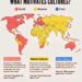 What Motivates Cultures? 
What kind of culture does your country follow?