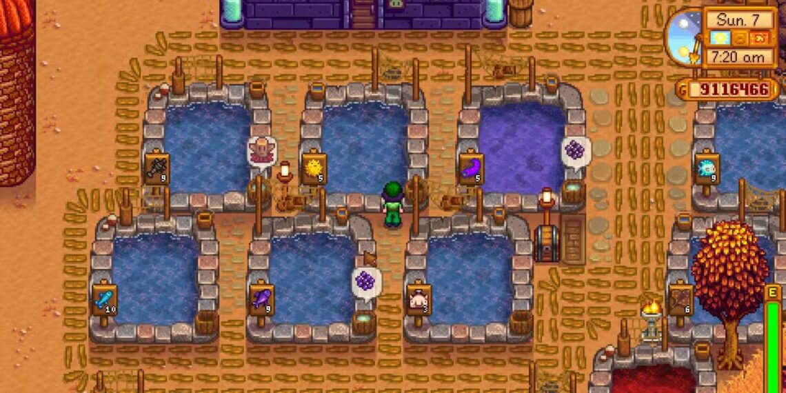 Top Fish to Completing Your Fish Pond in Stardew Valley