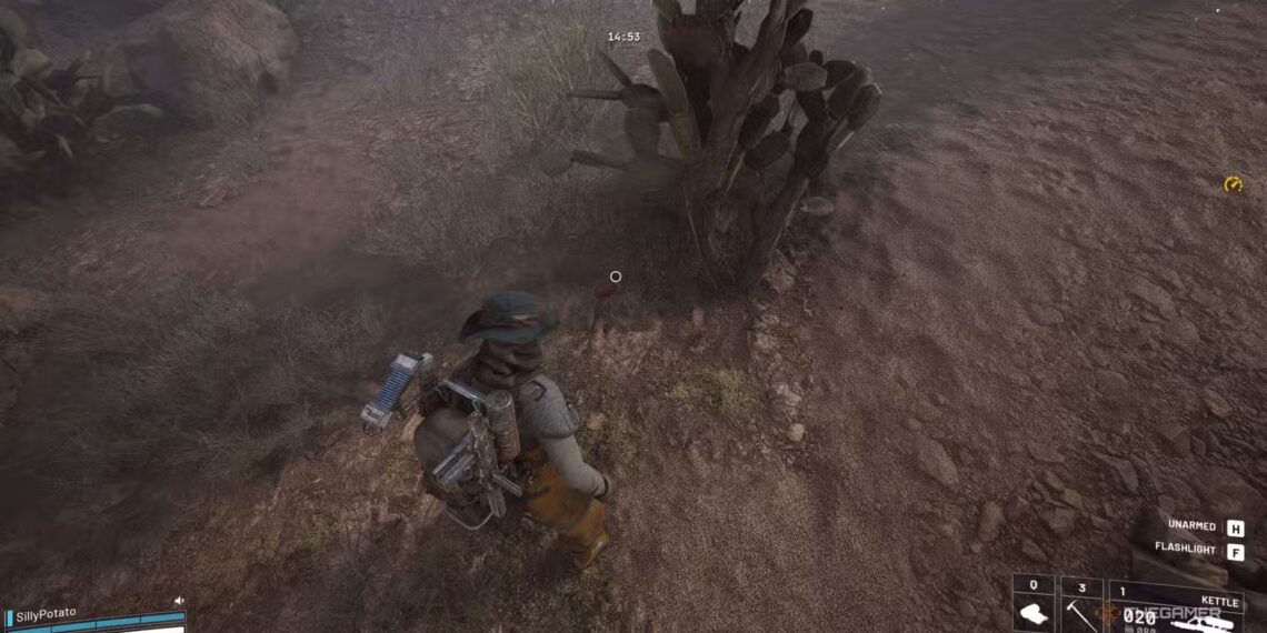 Top Prickly Pear Spots in Arc Raiders for Completing and Solving