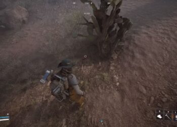 Top Prickly Pear Spots in Arc Raiders for Completing and Solving