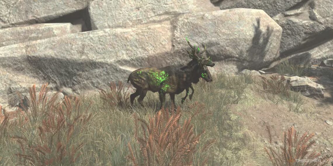 Top Radstag Locations for Completing and Solving in Fallout 76