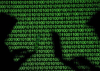 Vibe Coding Named Collins Dictionary Word of the Year