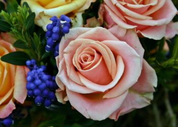 art flower 1738075 960 720.jpg