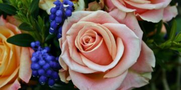 art flower 1738075 960 720.jpg