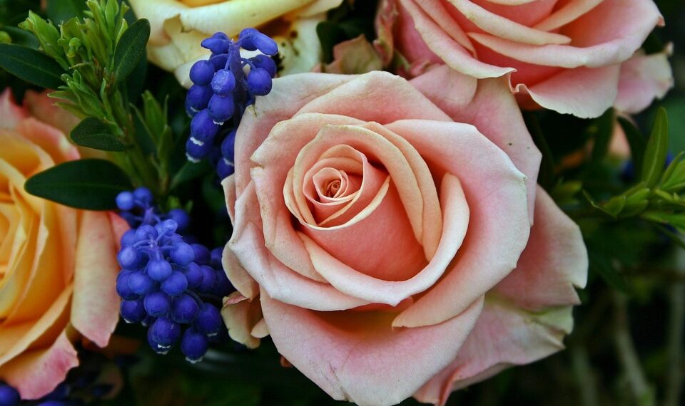 art flower 1738075 960 720.jpg