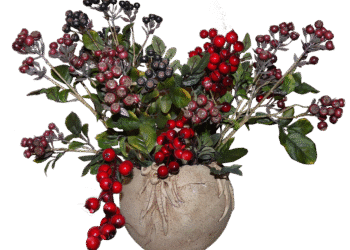 berries 2439864 960 720.png