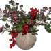 berries 2439864 960 720.png