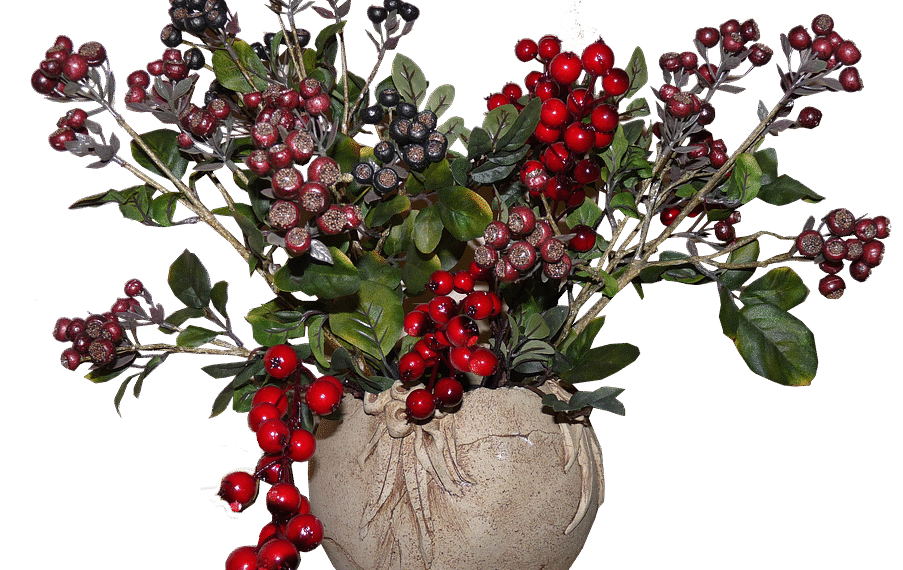 berries 2439864 960 720.png