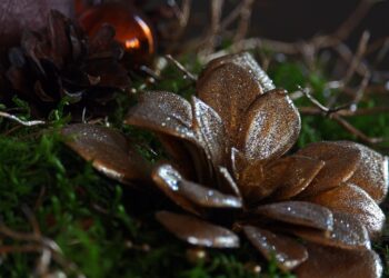 christmas 4689233 960 720.jpg