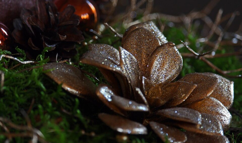 christmas 4689233 960 720.jpg