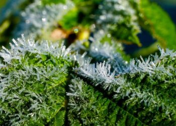 crystals 9906946 960 720.jpg