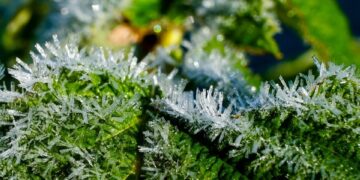 crystals 9906946 960 720.jpg