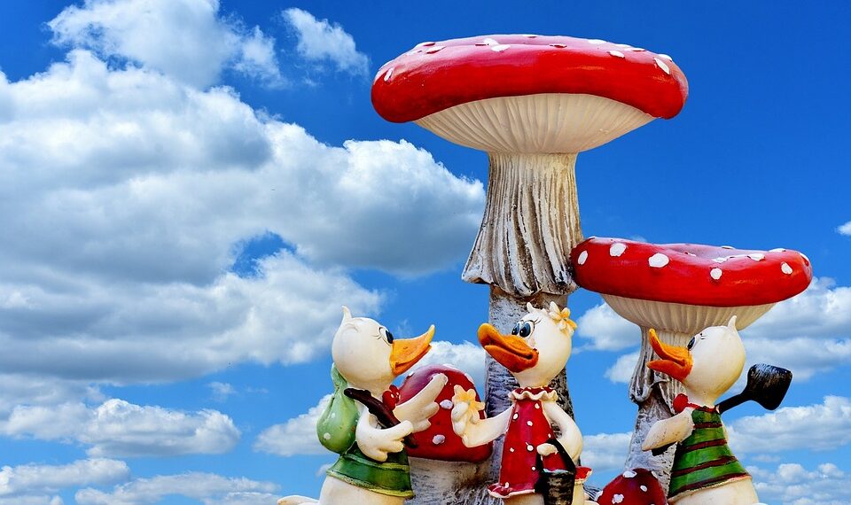 ducks 2687155 960 720.jpg