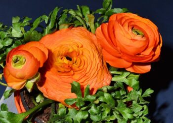 easter 1289849 960 720.jpg