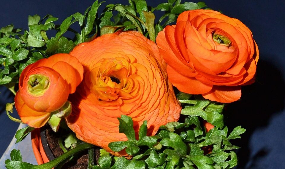 easter 1289849 960 720.jpg