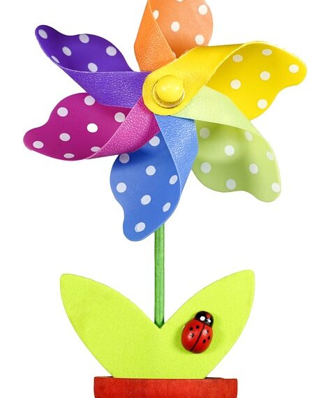 flower 1230522 960 720.jpg