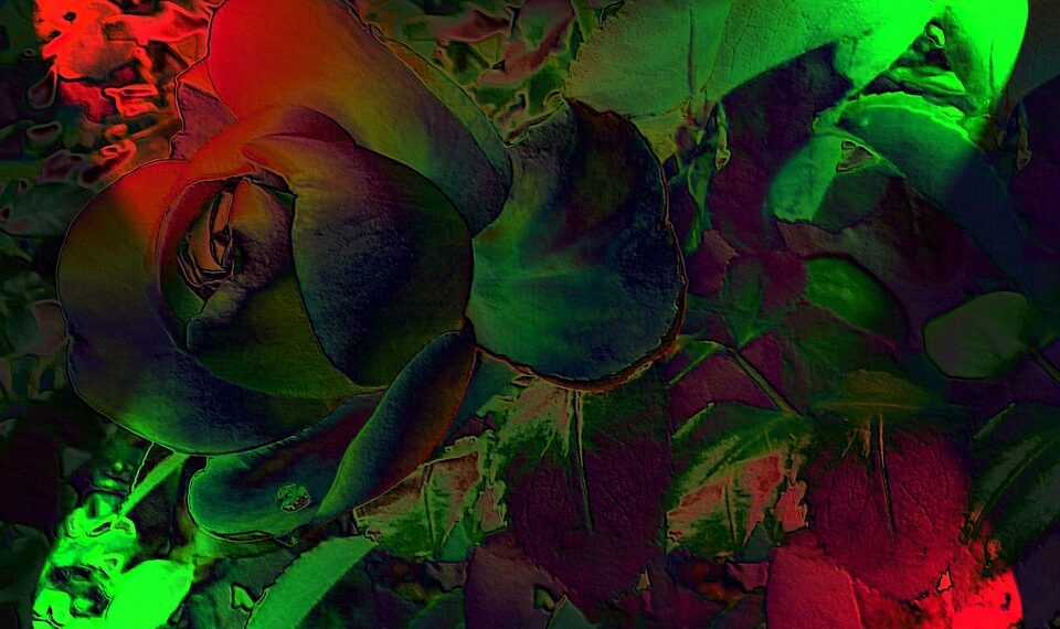 flower 58470 960 720.jpg